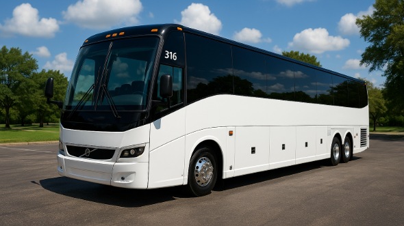 aurora bachelor and bachelorette party bus rentals