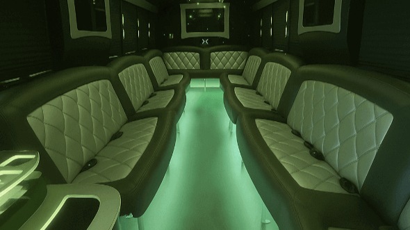 lakewood 20 passenger party bus